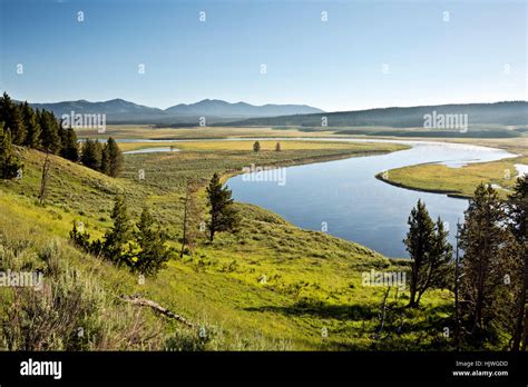 Wyoming The Yellowstone River In The Hayden Valley Area Of