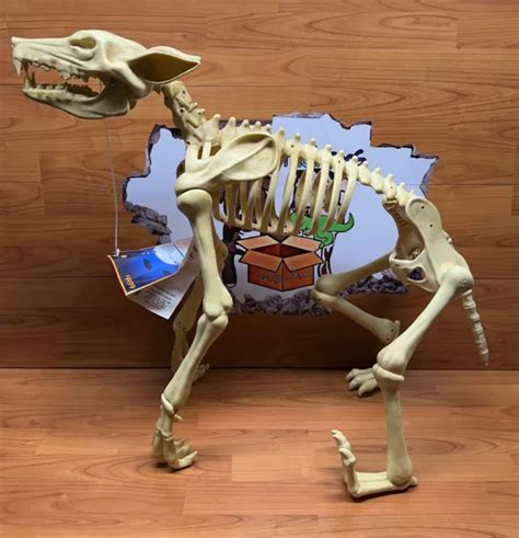 Poseable Life Size Howling Wolf Skeleton Led Animated Halloween Prop