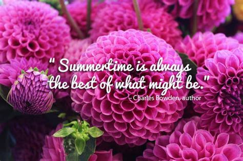 14 Summer Quotes That Are As Beautiful As The Season Orchid Republic