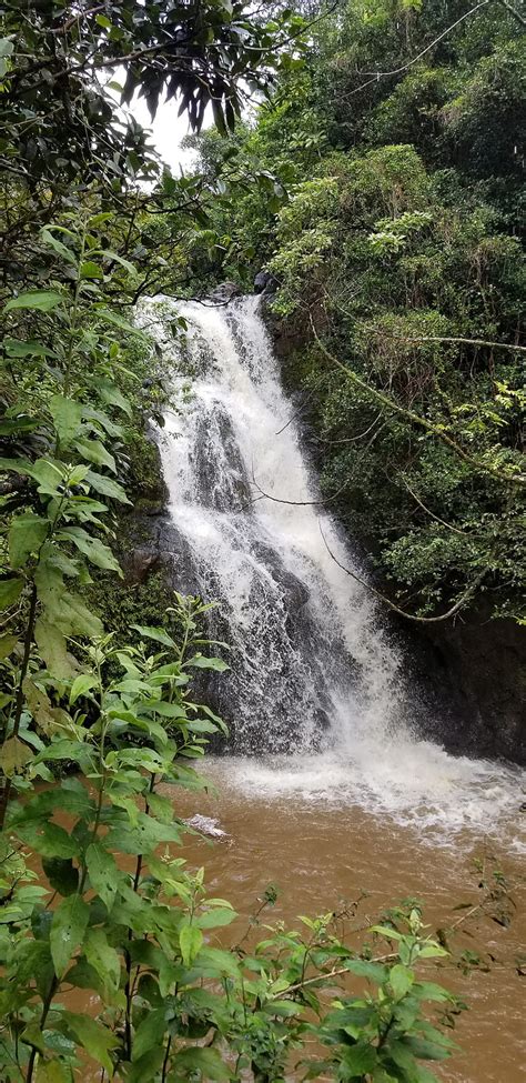 4k Free Download Hawaii Waterfall Hd Phone Wallpaper Peakpx