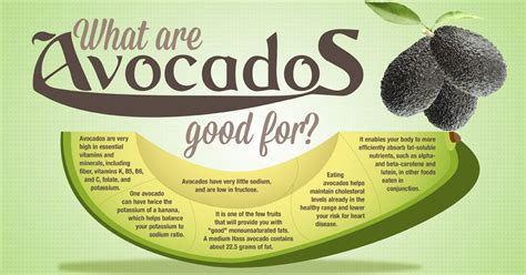 Although they were once avoided due to their high fat content, avocados have become increasingly trendy — and sought after. best fruit for weight loss: avocado for weight loss
