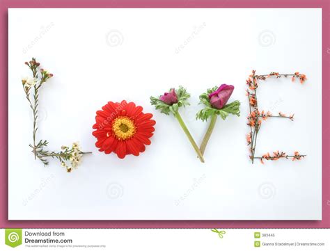 Say It With Flowers Love Stock Image Image Of Dating 383445