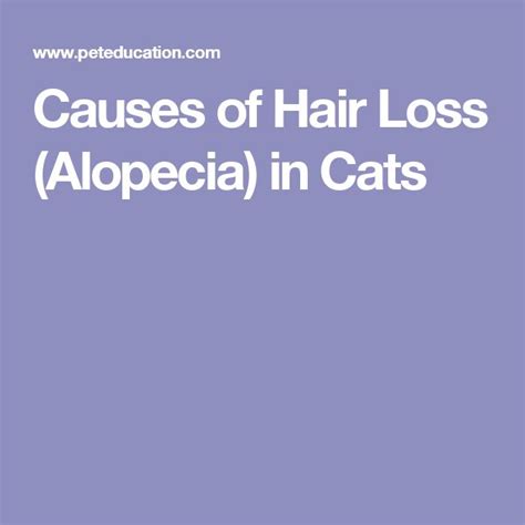 This causes hair loss in cats. Causes of Hair Loss (Alopecia) in Cats | Hair loss ...
