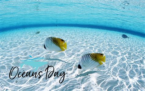 World Oceans Day Wallpapers Hd Wallpapers