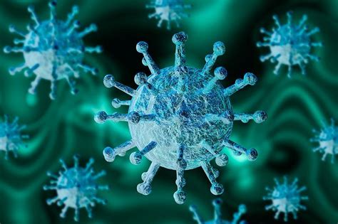Tulane To Host Forum About Emerging 2019 Coronavirus Outbreak Tulane
