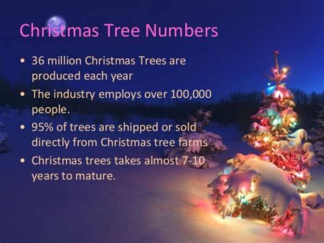 amazingly christmas tree facts to know