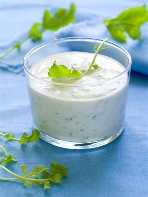 Owing to a lot of our recipes being prepared with hot spices and the weather being mostly hot and humid throughout the year in most parts of the country, raita is a staple in every indian household since yogurt is known for its cooling properties. Vegan Sour Cream with Cilantro - Fearless Fresh
