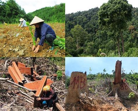 We did not find results for: Sự cố môi trường là gì