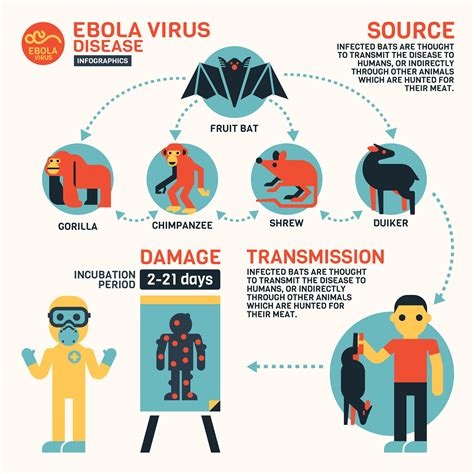 Ebola virus and marburg virus are related viruses that may cause hemorrhagic fevers. Ebola Disease Is A Rare But Deadly Disease Caused By One ...