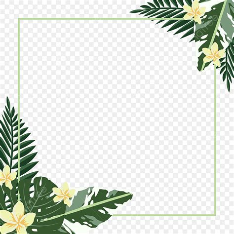 tropical palm leaves vector png images frame tropical leaves palm flowers white simple line