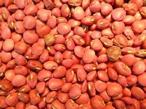 Red Ripper Crowder Pea Buy Red Ripper Cowpea Seed Red Ripper