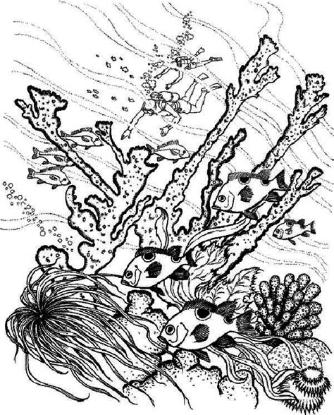 Hey there people , our latest update coloringimage which you canuse with is coral reef fish dolphin coloring pages, posted on coral. Diver Find Coral Reef Fish Coloring Pages : Kids Play Color
