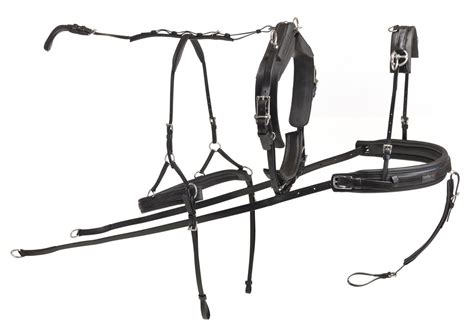 It was the setting for the movie the sound of music, so you may think you know all there is to see in salzburg if you have seen the movie.admittedly, it is difficult not to burst into song when you're walking along the salzach river, or climbing up to the hohensalzburg fortress. Kieffer Easy go Einspänner Geschirre Synthetik mit ...