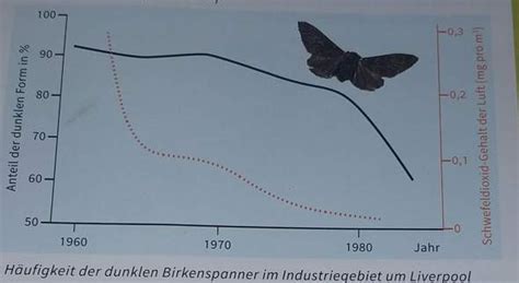 In diesem video erklären wir dir, was diagramme sind und wie du sie auswertest! Diagramm auswerten,bio? (Schule, Tiere, Physik)
