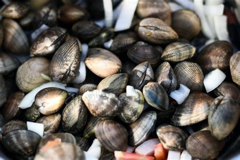 The Ultimate Guide To Cooking Shellfish Panapesca Usa