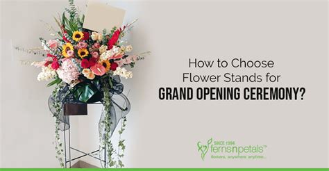 Ambitious yes, but i had to pay my rent, business insurance, and that little credit card bill back. How To Choose Flower Stands For Grand Opening Ceremony ...