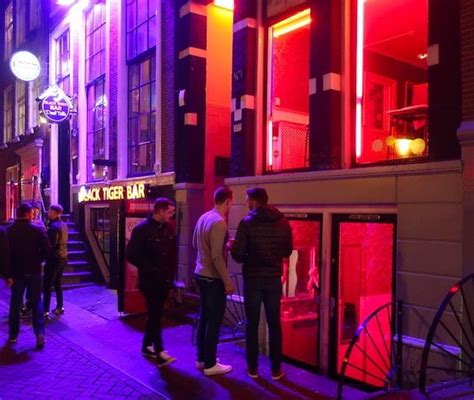 Amsterdam Red Light District Escorts