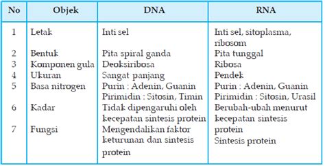 Salta al menu exchange students. Perhatikan Struktur Dna Di Samping Nukleotida Penyusun Dna ...