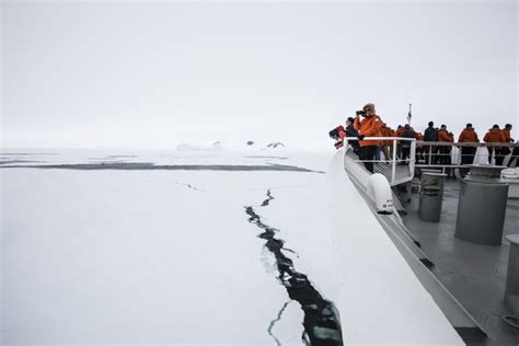 Aboard The National Geographic Explorer In Antarctica Poking The Bear