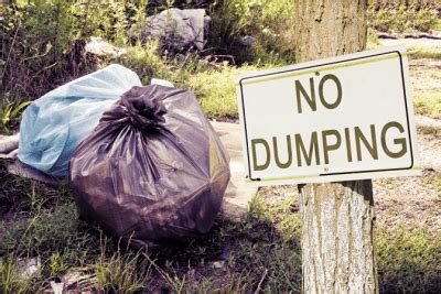 Trash in Other People's Dumpsters > Ask a House Cleaner