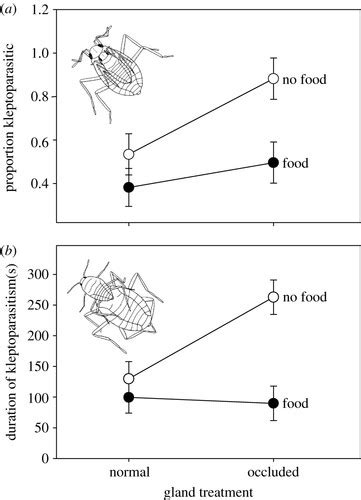 Sex Role Reversed Nuptial Feeding Reduces Male Kleptoparasitism Of