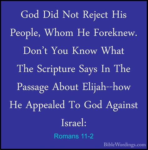 Romans 11 Holy Bible English