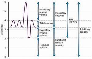 Functional Residual Capacity Frc And Pulmonary Vascular Resistance