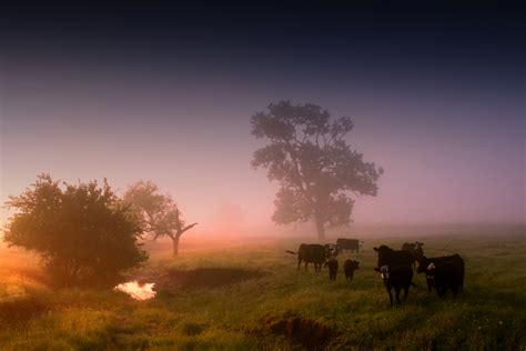 Ribuan gambar baru berkualitas tinggi ditambahkan setiap hari. Foto Aesthetic Pemandangan Malam
