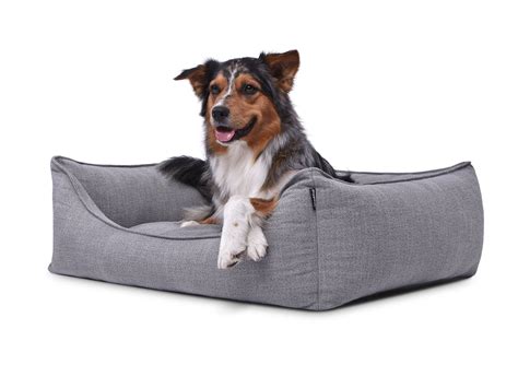 Für große und kleine hunde. Hundebett aus einem modernen Struktur-Möbelbezugsstoff ...