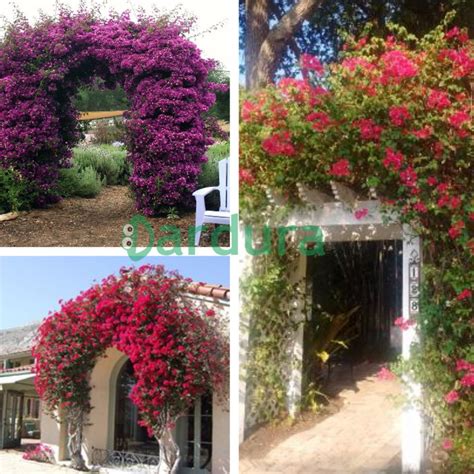 We did not find results for: 12+ Gambar Taman Bunga Untuk Digambar - Gambar Bunga Indah