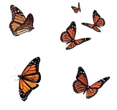See more ideas about butterfly, aesthetic, aesthetic pictures. Aesthetic Backgrounds With Butterflies : Butterfly ...