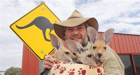Hundreds Of Orphaned Joeys Have Been Given A Second Chance Thanks To