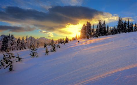 Slike Snijega Slike Zime Za Pozadinu Najljepse Slike