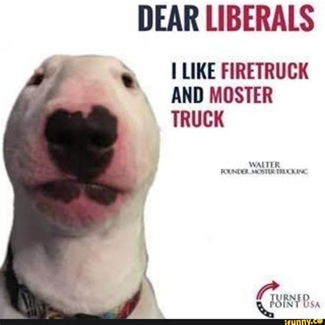 Walter Meme Dog Breed