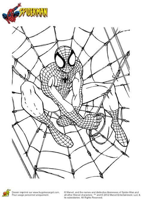 We'll do the shopping for you. Dernière Dessin Toile Daraignee Spider Man - Bethwyns Project