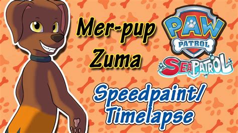 Paw Patrol Mer Pup Zuma Speedpaint Timelapse Youtube