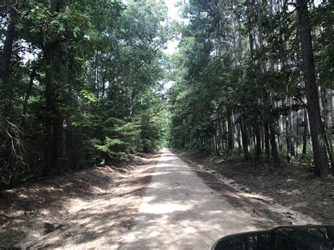 Springtime is the best time, lush green trees and gorgeous texas wildflowers everywhere. Took a drive through Davy Crockett National Forest ...