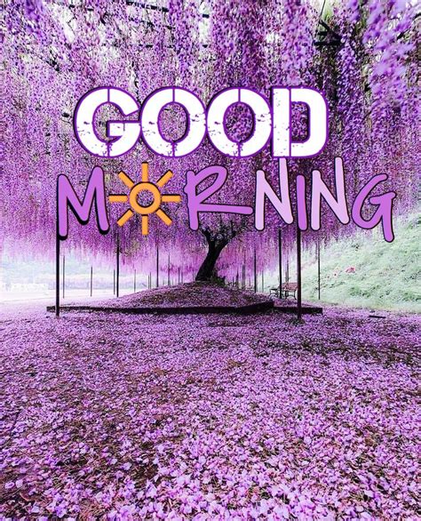 The Words Good Morning Are In Front Of An Image Of A Tree With Purple