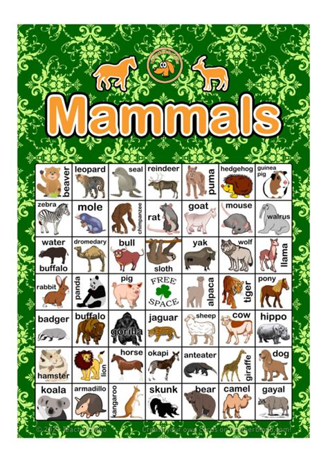 Mammals Bingo 7x7 5 Pages Call Sheet Made By Teachers