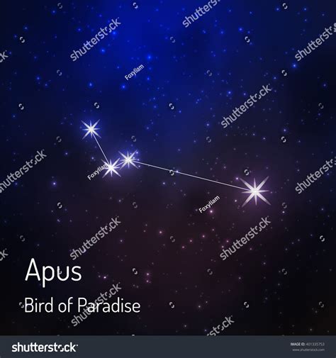 Apus Bird Paradise Constellation Night Starry Vector De Stock Libre