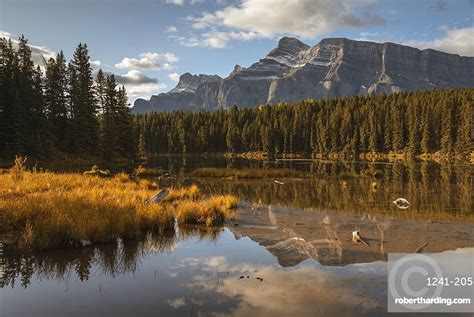 Mount Rundle Reflected In Johnson Stock Photo