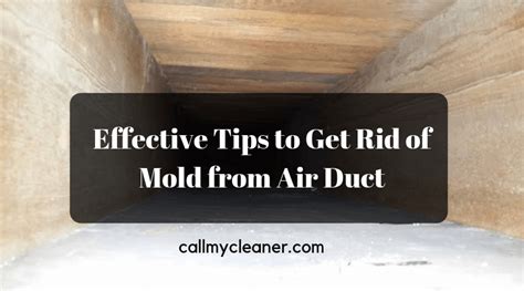 Even a cabin air filter clogged with rotting leaves or leaking trunk can become odiferous. Effective Tips to Get Rid of Mold from Air Duct Nowadays ...