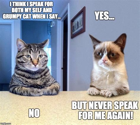 Grumpy Cat Meme Yes ~ Cooper Simpson