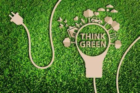 Why Going Green In The Office Benefits More Than Just The Environment