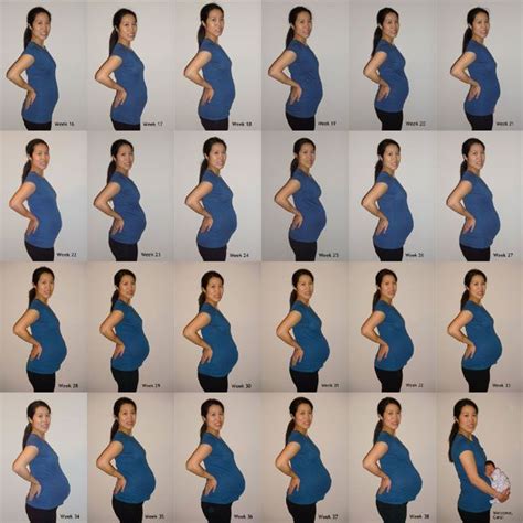Pregnancy Week By Week Pregnancy Progress Pictures Pregnancy Birth