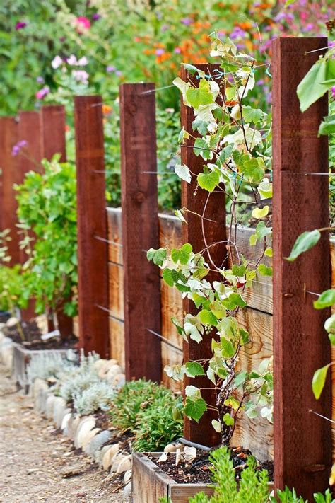 Attractive Wooden And Wire Trellis Might Want To Increase Post Spacing