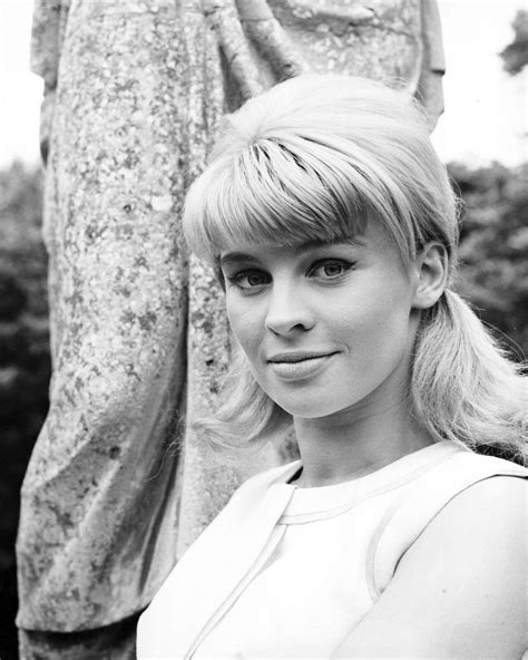 Julie Christie Photo 29 Of 31 Pics Wallpaper Photo 433401 Theplace2