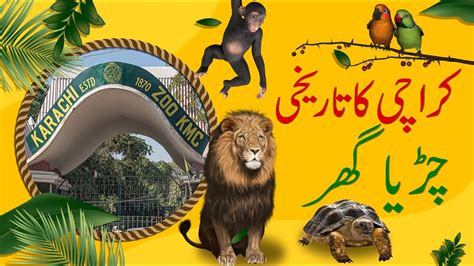 Karachi Zoo Karachi Chirya Ghar Visit Of Karachi Zoo Zoo Animals