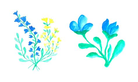 Premium Vector A Set Of Blue And Yellow Flowers On A White Background