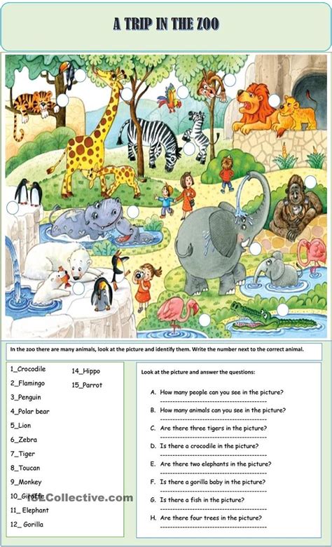A TRIP IN THE ZOO | In the zoo, English lessons for kids, Picture